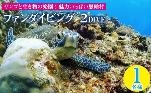 
サンゴと生き物の楽園！魅力いっぱい恩納村ファンダイビング（２DIVE）1名様
