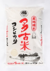 【令和7年産】多古米コシヒカリ　精米10kg(5kg×2袋)_ コシヒカリ 米 こしひかり_【配送不可地域：離島・沖縄県】 TAKN001