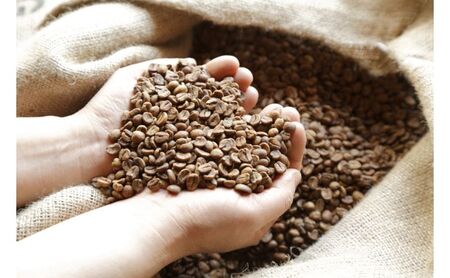 軽井沢焙煎所オーガニックコーヒー 200g×3種 ドリップバッグ2種10g×3　６回定期便 コーヒー豆 飲料 JASオーガニック認証 フェアトレード 安心 安全 笑顔 自然 健康 デカフェ 