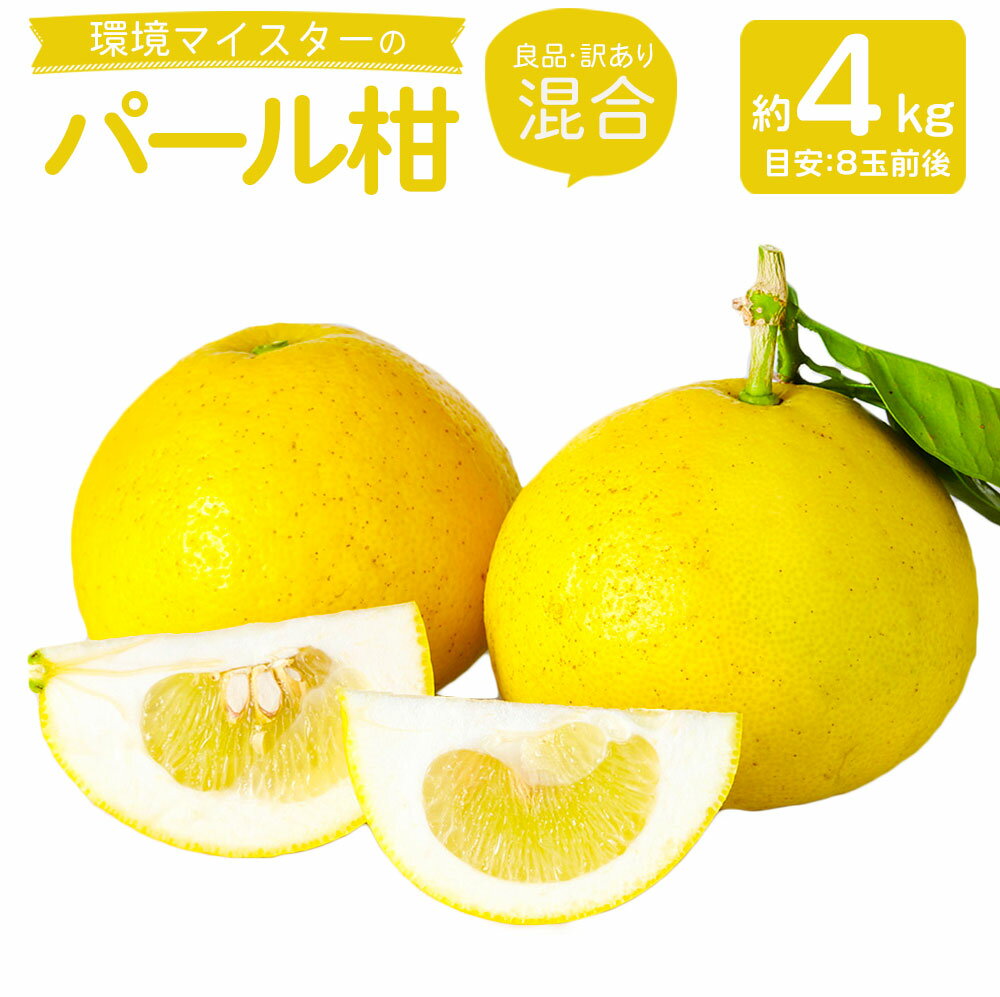 【ふるさと納税】環境マイスターのパール柑 良品 訳あり 混合 約4kg 8玉前後 （栽培期間中は無肥料・農薬不使用） パール柑 グレープフルーツ 柑橘 果物 国産 九州産 熊本県産 冷蔵 送料無料【2026年2月上旬‐4月上旬迄順次発送予定】