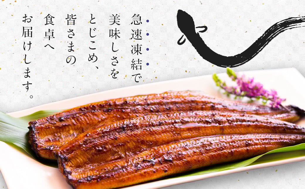 ＜うなぎ蒲焼 4～5尾 計500g以上＞