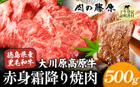 牛肉 大川原 高原牛 500g 《30日以内に出荷予定(土日祝除く)》| 牛肉 赤身 霜降り 500g 