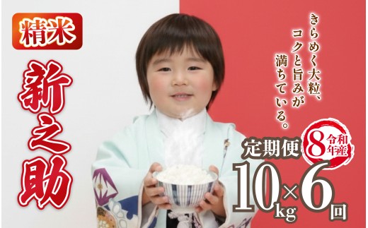 先行予約 令和8年産 新之助 定期便 10kg 6回 60kg しんのすけ 白米 米 国産 環境こだわり おこめ お米 ご飯 ごはん オニギリ お弁当 kome 6か月 送料無料 数量限定 農家直送 産地直送 国産 川瀬農園 四代目 悠助 新潟 新発田 kwsSS006_202609