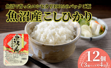 【パックご飯】魚沼産こしひかり パックご飯12個 