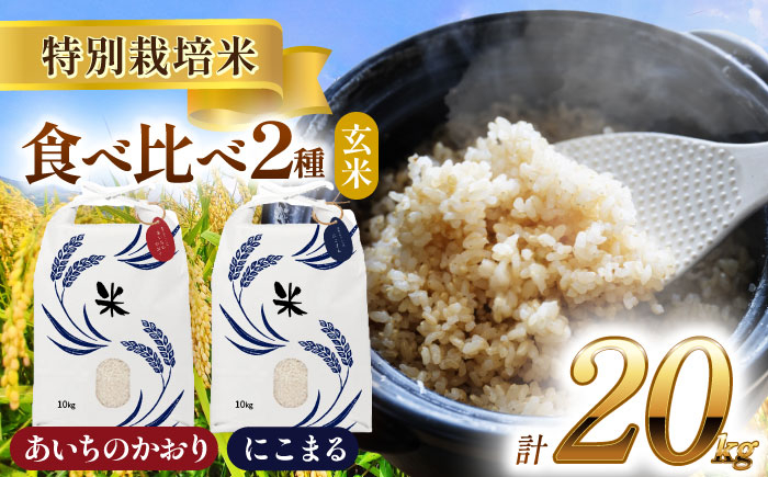 
【選べる発送月】愛知県産 にこまる・あいちのかおり 玄米 各10kg 特別栽培米 お米 ご飯 愛西市／戸典オペレーター [AECT013]
