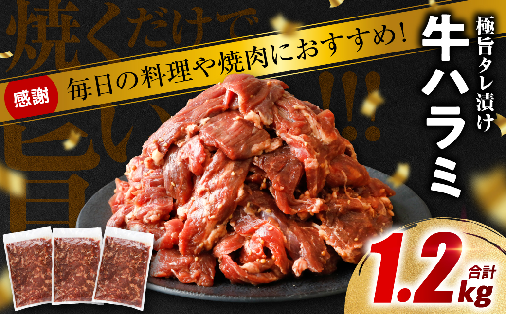 【訳あり】タレ漬け 牛ハラミ 1.2kg（300g x 4p） 醤油ベース 焼肉用