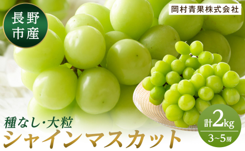金オ岡村青果株式会社　長野市産 シャインマスカット2kg【2026年9月以降出荷分】フルーツ ぶどう 葡萄 果物 人気 種なし 数量限定 令和8年 産地 長野 |  シャインマスカット ぶどう フルーツ 果物 人気 おすすめ ギフト プレゼント 送料無料 長野県 長野市 信州 信濃 ふるさと納税