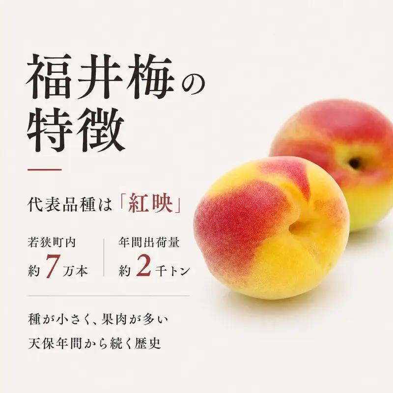 梅干し うすしお しそ漬 食べ比べ 紅映梅の梅干し