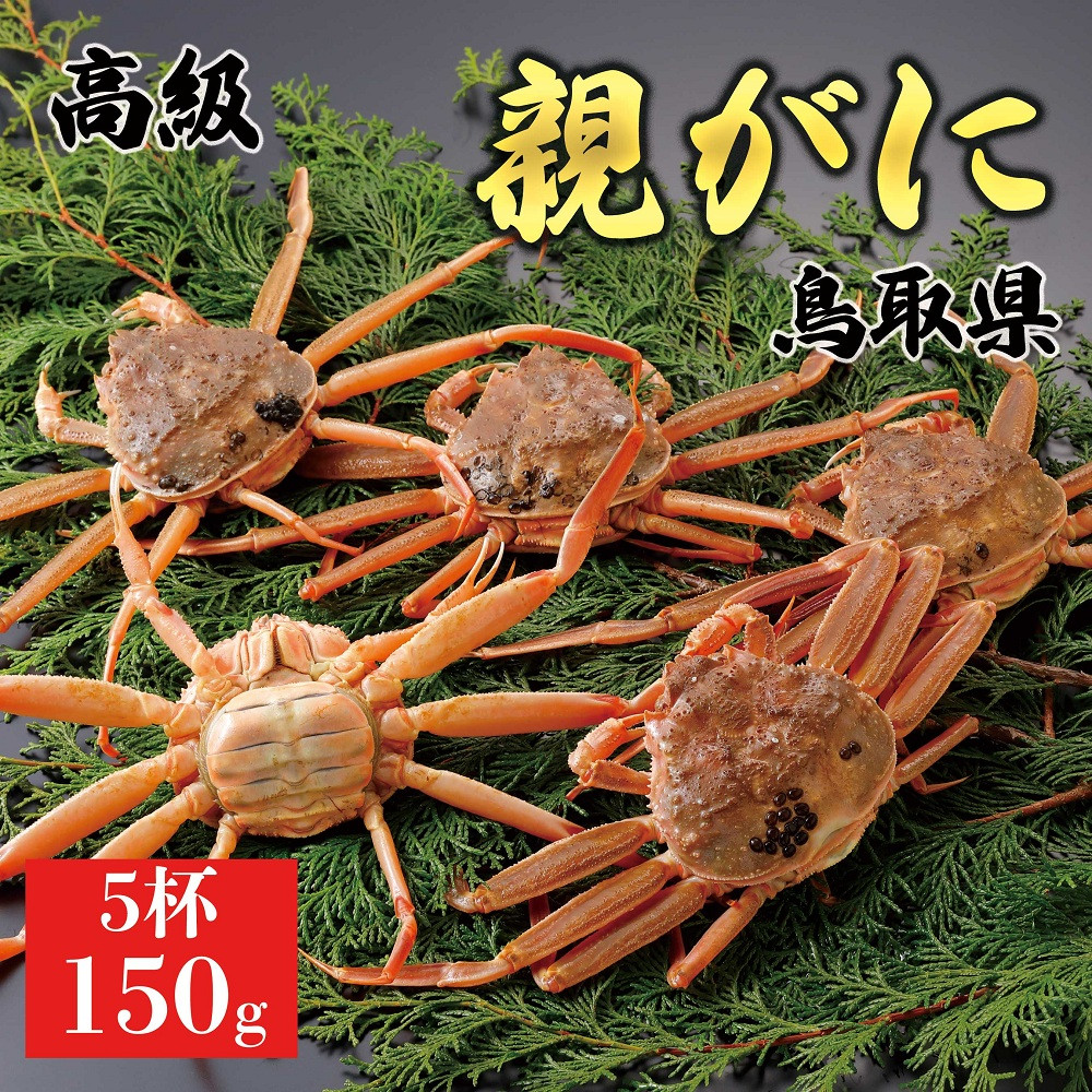 1062.【2025年12月発送】鳥取県産 特撰 親がに 姿【セコガニ】（なま）150g　5杯 313726_BS058
