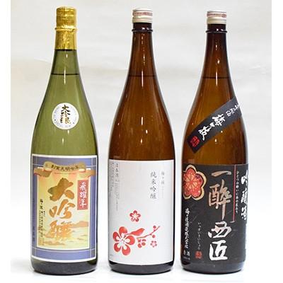 ふるさと納税 佐世保市 【毎月定期便】大吟醸・純米吟醸・吟醸酒の贅沢一升3本セット全3回