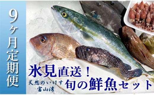 
【定期便（９ヶ月）】天然のいけす 富山湾 氷見漁港 旬の鮮魚セット ９回お届け 直送 鮮魚ボックス 富山 氷見 詰め合わせ
