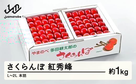 《先行予約》2025年 山形県産 紅秀峰 本詰約1kg L~2L やまのべ多田耕太郎のさくらんぼ サクランボ F20A-054