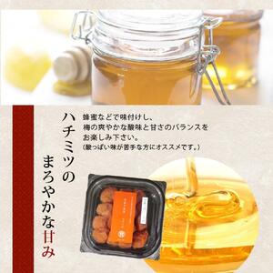 塩ぬき屋 ゼロ梅 (甘酸っぱい味) 200g ×2パック食塩不使用 A-238