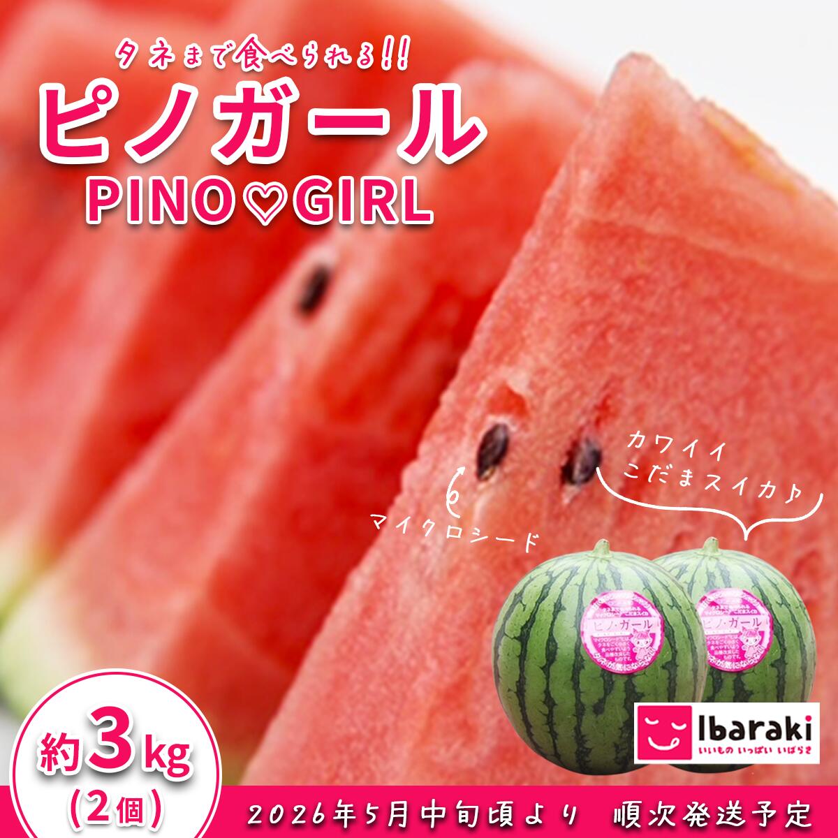 【ふるさと納税】すいか スイカ 西瓜 小玉すいか こだますいか フルーツ 果物 くだもの 12-23 茨城県産 ピノガール 約 3kg ( 2個 ) 先行予約 【2026年5月中旬～6月中旬ごろ発送予定】