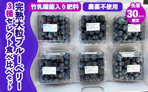 【先行予約30セット限定】大粒完熟ブルーベリー3種セレクト食べ比べセット｜お楽しみ 大粒完熟 農薬不使用 竹乳酸菌入り肥料 ※離島への配送不可 ※2025年7月中旬～8月中旬頃に順次発送予定
