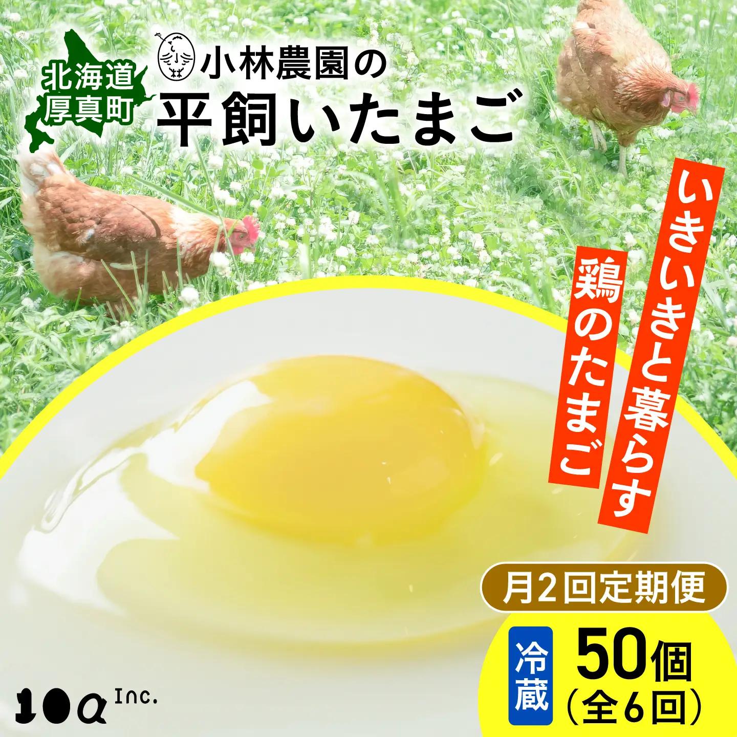 【月2回 3ヵ月定期便】平飼い有精卵 50個 計300個 冷蔵便 [AXAN021]