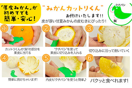 甘夏 訳あり 4kg 甘夏