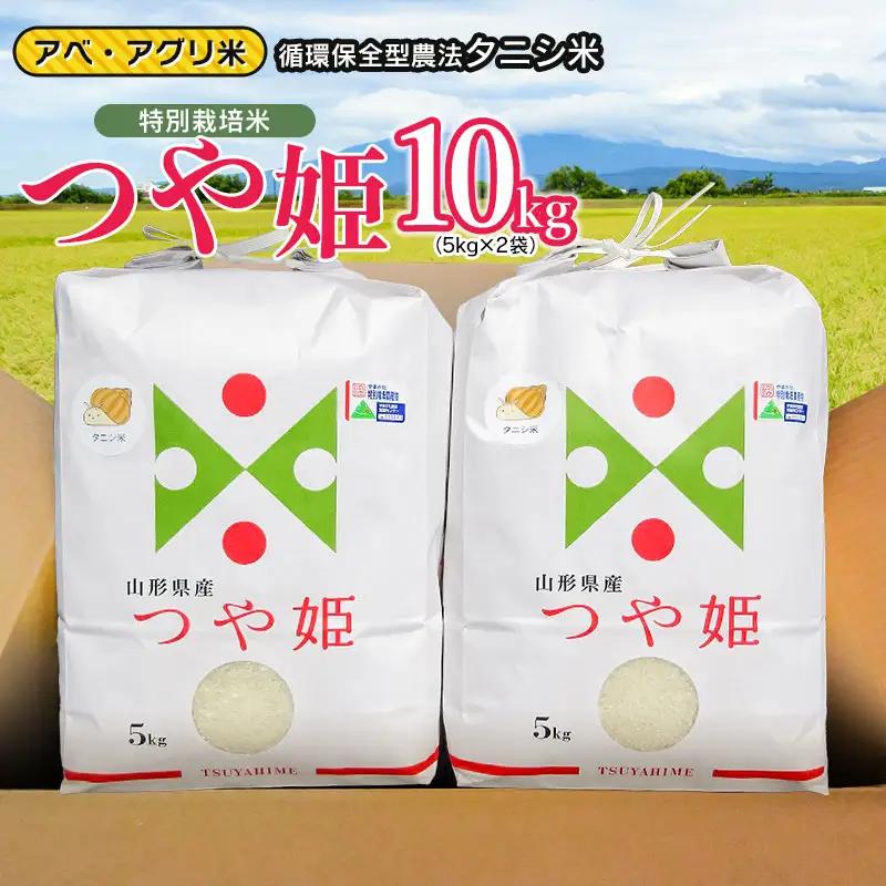 【令和7年産】特別栽培米 つや姫（タニシ米）精米10kg（5kg×2袋）　山形県鶴岡産　アベ・アグリ米　| つやひめ 米 コメ こめ 10キロ 米どころ 庄内米 ブランド米 ご飯 ごはん 美味しい お取り寄せ 農家直送 お弁当 おにぎり 東北 国産 おすすめ 人気 返礼品