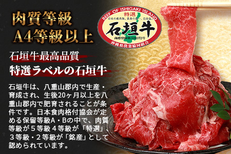 石垣牛 切り落とし スライス (300g×4パック) 計1.2kg AB-25