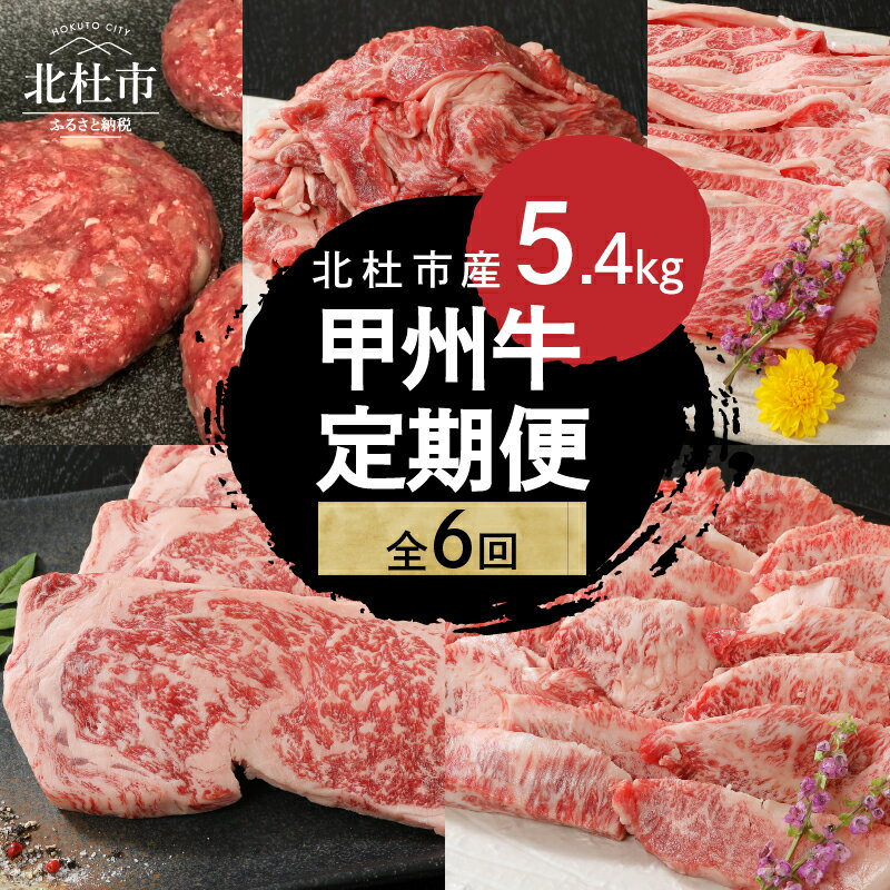 【ふるさと納税】 定期便 甲州牛 6ヶ月定期便 計5.4kg 黒毛和牛 サーロイン ステーキ 250g×3枚 焼肉用 カルビ 牛肩ロース すきやき用 1kg ハンバーグ 180g×4 切り落とし 1.2kg 品質ランク A4以上 牛肉 肉 和牛 贅沢 バーベキュー ミート池田 山梨県 北杜市 送料無料
