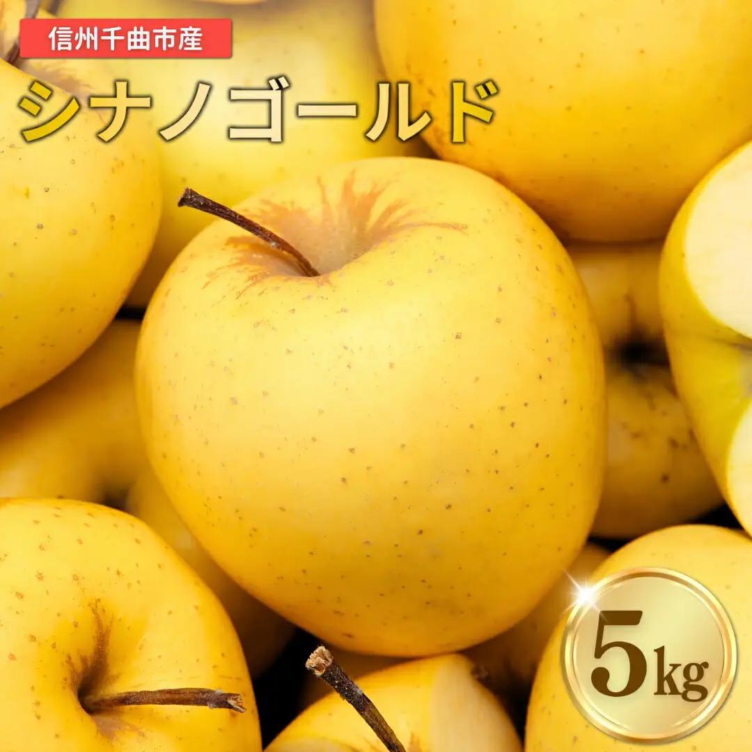 【2026年先行予約】りんご シナノゴールド 12~20玉 約5kg|シナノゴールド