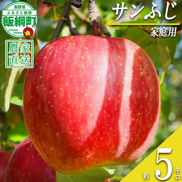 【ふるさと納税】 りんご サンふじ 家庭用 5kg 丸山りんご園 沖縄県への配送不可 令和8年度収穫分 長野県 飯綱町 〔 信州 果物 フルーツ リンゴ 林檎 長野 16000円 予約 農家直送 〕発送時期：2026年12月上旬〜2026年12月下旬 {**}