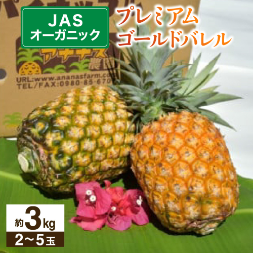 【JASオーガニック】 プレミアムゴールドバレル 約3kg 2～5玉 023-a009_2026