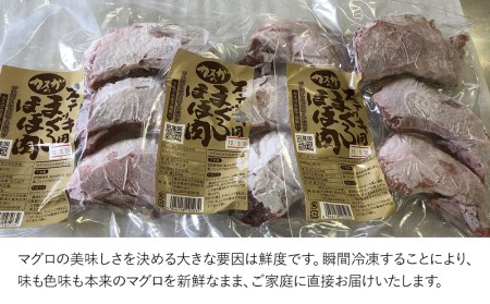 カスガのまぐろステーキほほ肉 3人前 マグロ 鮪 冷凍 お取り寄せグルメ 大分県産 九州産 津久見市 国産【tsu0003012】