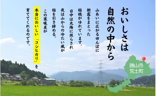 【先行予約】【令和8年産】自然の清流が育んだ奥越産コシヒカリ10kg（精米 5kg×2袋）※2026年9月10日以降順次発送予定 [B-086001]