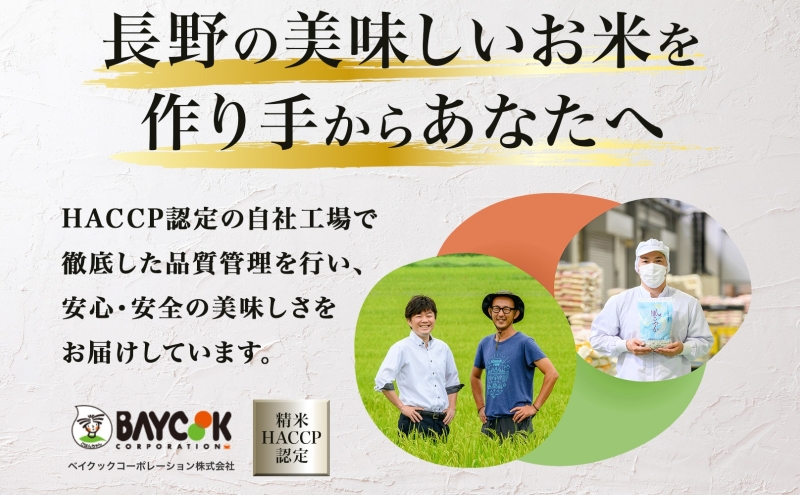 令和6年産 長野県 信州 上田市産 こしひかり 10kg×1袋 計10kg 精米 白米 ブランド米  銘柄米 コシヒカリ ご飯 ライス お弁当 おにぎり 主食 国産 日本産 和食 お取り寄せ