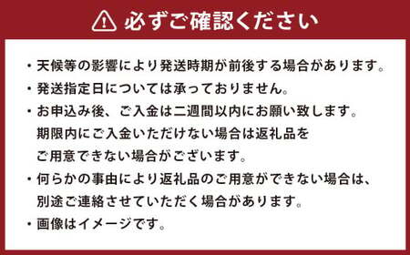 熊本県産 小玉スイカ & アールスメロン 食べ比べ （計4玉約7kg） 【2025年7月下旬迄発送予定】 小玉すいか 小玉西瓜 スイカ すいか 西瓜 メロン めろん 果物 果実 フルーツ 贈り物 セッ
