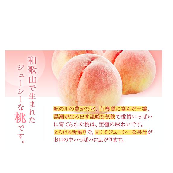 【産直・人気の特産品】和歌山の桃　約2kg・秀品◇ ｜ モモ 国産 フルーツ お取り寄せ ギフト
※北海道・沖縄・離島への配送不可
※2025年6月下旬～8月上旬頃に順次発送予定_イメージ2