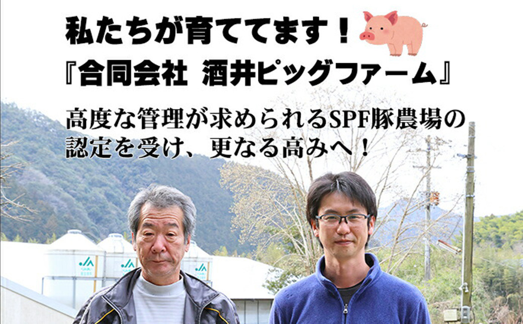 鬼北町の清らかな自然で育てた ふれ愛・媛ポーク 約900g （4種入り）（462）