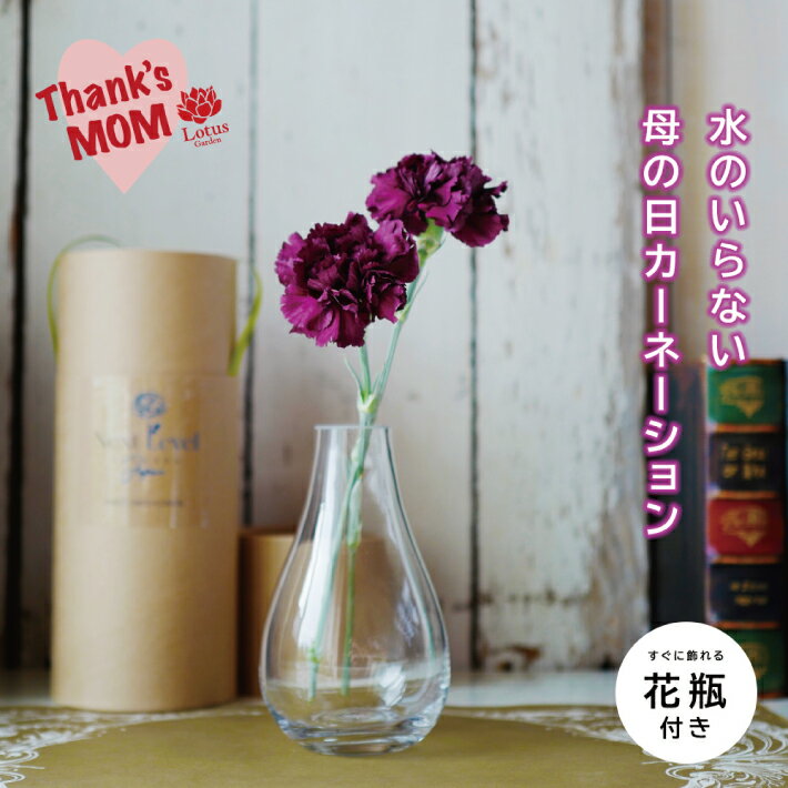 【ふるさと納税】≪5/6〜5/10にお届け≫ 母の日 2026年 フリーズドライフラワー 「水のいらないカーネーションギフト ニコニコ2026」 花瓶つき 東北 山形県 酒田市 庄内 LotusGarden フリーズドライ専門店 Next Level FLOWERS Japan ゼロフラワー
