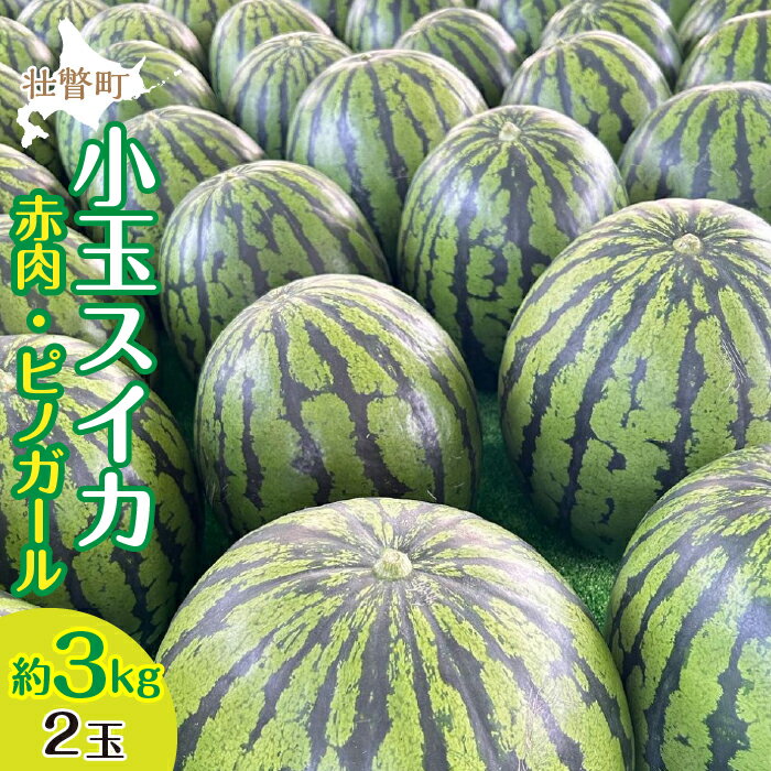 【ふるさと納税】＜2025年8月上旬より順次お届け＞北海道壮瞥産 小玉すいか（赤肉・ピノガール）2玉約3kg スイカ　ふるさと納税 人気 おすすめ ランキング スイカ すいか 西瓜 甘い 小玉 北海道 壮瞥町 送料無料 SBTN004