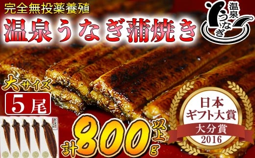 
温泉うなぎ蒲焼 5尾（160gサイズ） 国産うなぎ 人気 国産 蒲焼 蒲焼き かば焼き 鰻屋 個包装 冷凍 真空 ＜104-013_5＞
