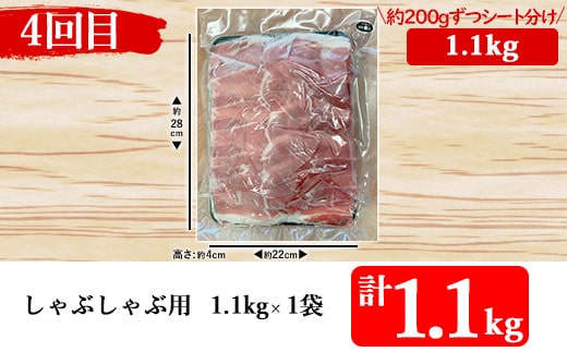 【4カ月定期便】鹿児島県産黒豚　ボリューム満点定期便 合計約4kg DS-016