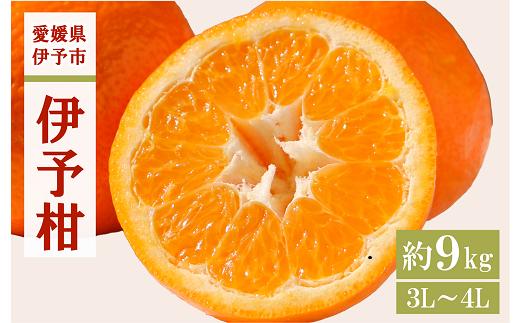 
            みかん 愛媛 伊予柑 3L～4Lサイズ（約9kg）【2026年1月中旬から順次発送予定】 人気 数量限定 柑橘 伊予市｜B160
          
