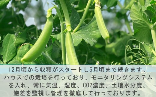 モニタリングシステムを入れ、常に気温、湿度、CO2濃度、土壌水分度、飽差を監視し管理を徹底しております