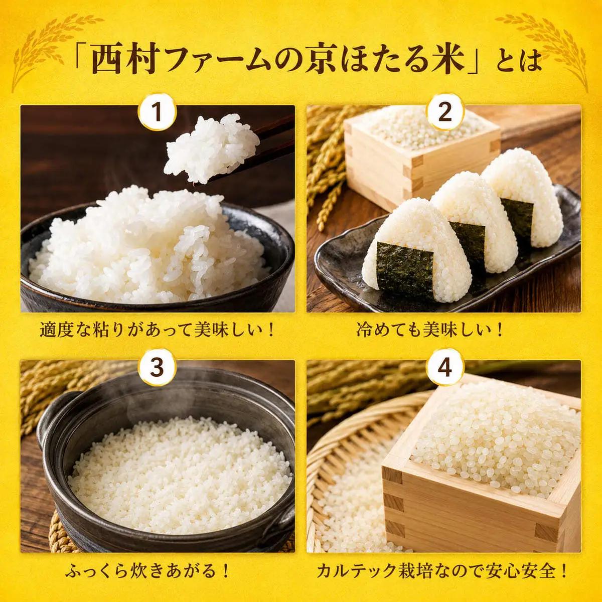 令和7年産 京都丹波産 コシヒカリ 10kg 西村ファーム 京ほたる米