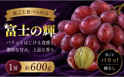 【2026年8月9月発送】 ぶどう 種なし 大粒 富士の輝 ( 600g 前後) 1房 ブドウ 葡萄 希少 種無し 高級ぶどう ブラックシャインマスカット グレープ 数量限定 期間限定 季節限定 先行予約 冷蔵 果物 くだもの フルーツ デザート ギフト 贈答 贈り物 甘い おすすめ 人気 新鮮 こだわり たねなし 黒ぶどう ふるさと納税ぶどう ふじのかがやき 松田ぶどう園 高知 高知県 大月町