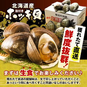 【数量限定】 獲れたて直送 ホッキ貝 約4kg　（ホッキ 北寄 ほっき貝 北寄貝 貝 魚介類 魚貝類 海鮮 北海道産 道産 新鮮 活魚 活貝 産地直送 生 国産 とよとみ 北海道 豊富町）