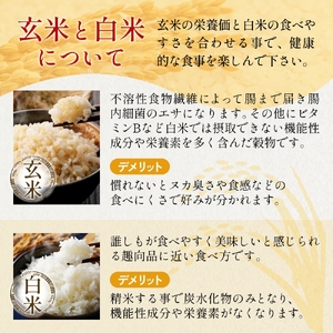 ＜ 食べ比べ ＞ 令和7年産 氷見産コシヒカリ 氣ノ源 豊穣米 （ 玄米 ・ 白米 各2合 ） お米自慢コンクール優秀賞！ 精米 米 コシヒカリ 富山県産 富山県 氷見市
