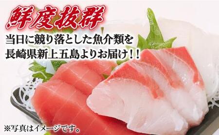 五島列島お刺身地魚柵セット 4?5人前[RBP057] 刺身 鮮魚 刺身 鮮魚 刺身 鮮魚 刺身 鮮魚 刺身 鮮魚 刺身 鮮魚 刺身 鮮魚九州 長崎
