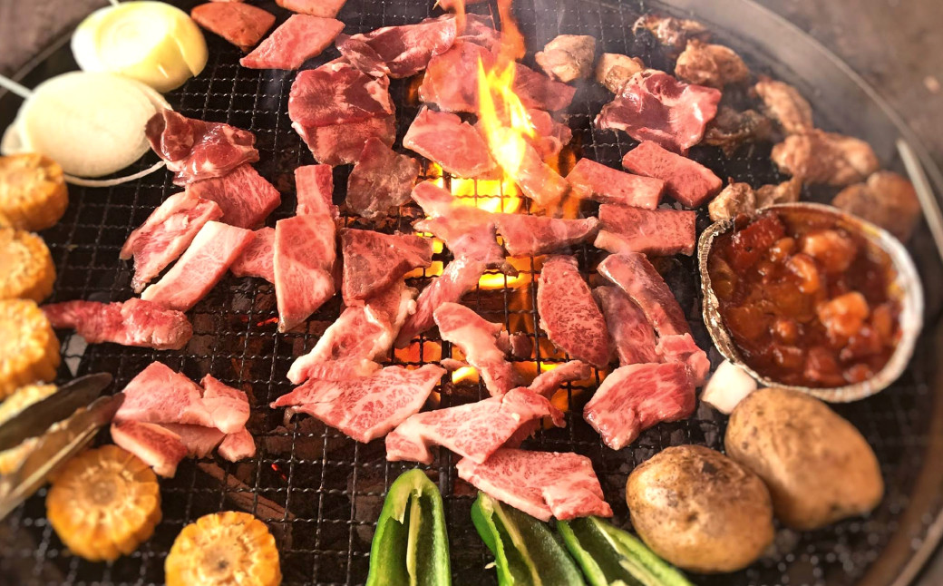 愛媛県産 黒毛和牛 雌牛 いしづち牛肩ロース 焼肉用 500g（664）