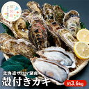 【ふるさと納税】【国内消費拡大求む】 北海道 サロマ湖産 カキ 約3.6kg 牡蠣 海鮮 魚介 国産 殻付き 貝付き 生食 焼き牡蠣 蒸し牡蠣 冷蔵 産地直送 オホーツク　魚貝類・生牡蠣・かき・カキ・牡蠣・殻付きカキ・約3.6kg　お届け：2024年11月～2025年1月中旬頃まで