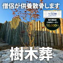 【ふるさと納税】樹木葬散骨ご利用クーポン10,000円 ふるさと納税 供養 お墓 永代 献花 お祈り 散骨 先祖 命日 お盆 お彼岸カンシャ 千葉県 大多喜町 送料無料 SK03403