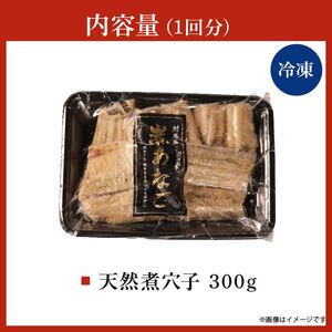  【 訳あり 】定期便 6ヶ月 国産 肉厚 煮 穴子 300g×6 計1.8kg 穴子