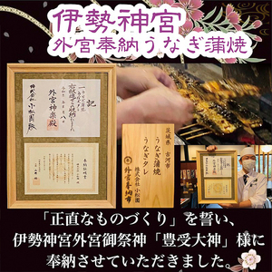 うなぎ蒲焼2人前（1人前約160g×2）贈答用パッケージ _AT02