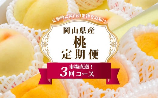 
            フルーツ 定期便 2025年 先行予約 岡山 の 桃 食べ比べ 定期便 3回コース もも モモ 岡山県産 国産 フルーツ 果物 セット ギフト
          